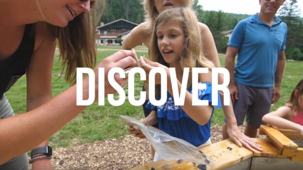 Mister Happy Gem Mining Company