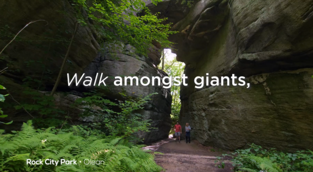 Chautauqua-Allegheny Region