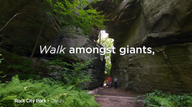 Chautauqua-Allegheny Region