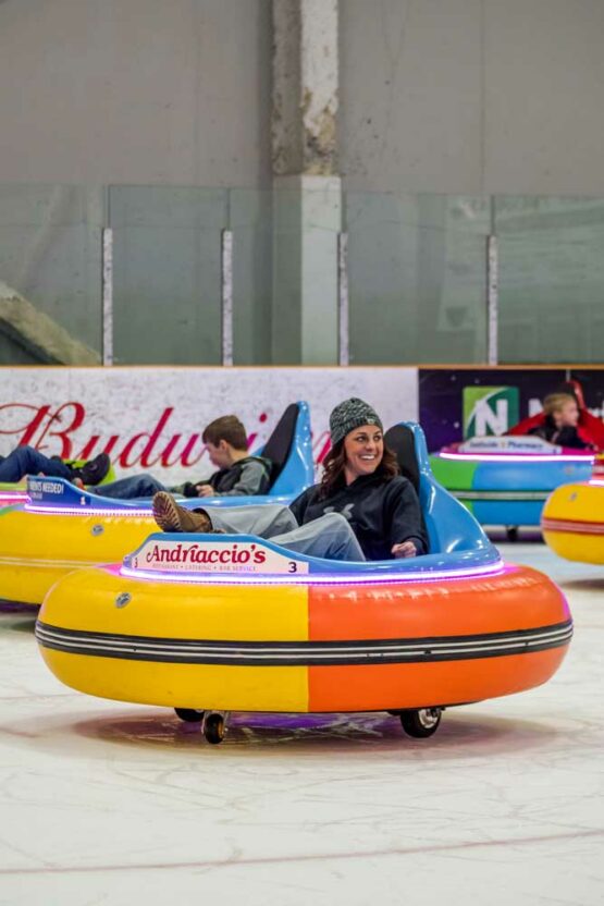 Northwest Arena Bumper Cars