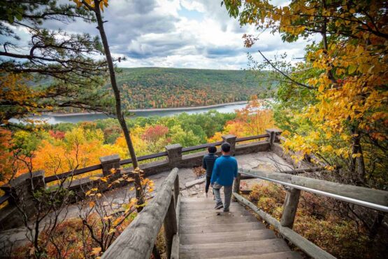 Allegheny National Forest