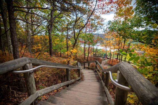 Allegheny National Forest