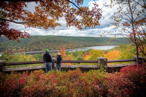 Allegheny National Forest