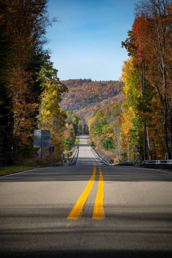 Allegheny National Forest