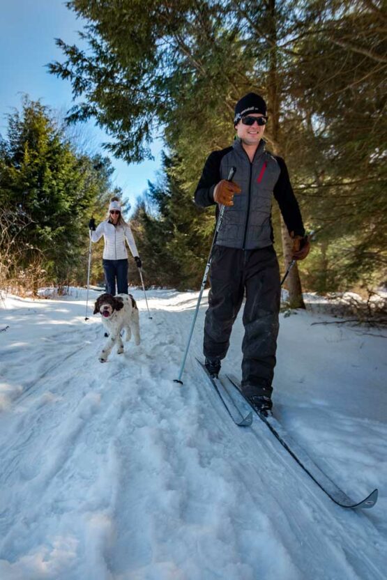 Allegheny National Forest