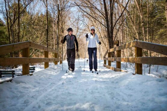 Allegheny National Forest