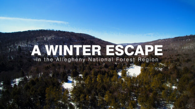 Winter Fun in the ANF