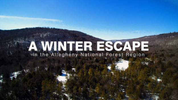 Winter Fun in the ANF